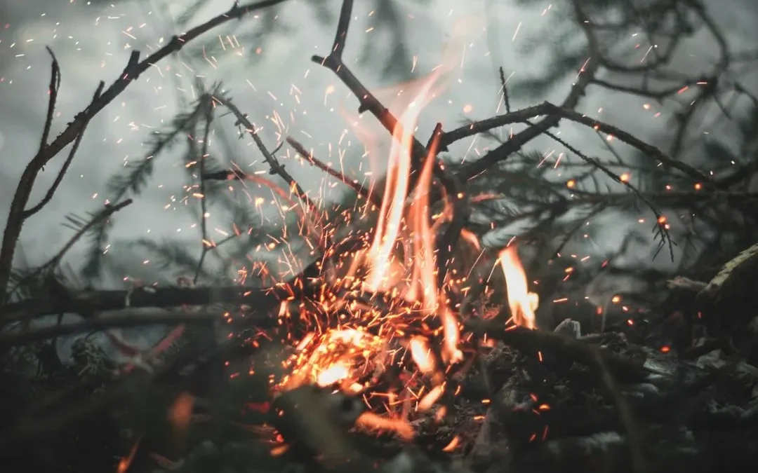 Walking Into the Fire—The First 24 Hours of Decloaking, written by Christina Rae Blackmon, first published on Substack on February 2025