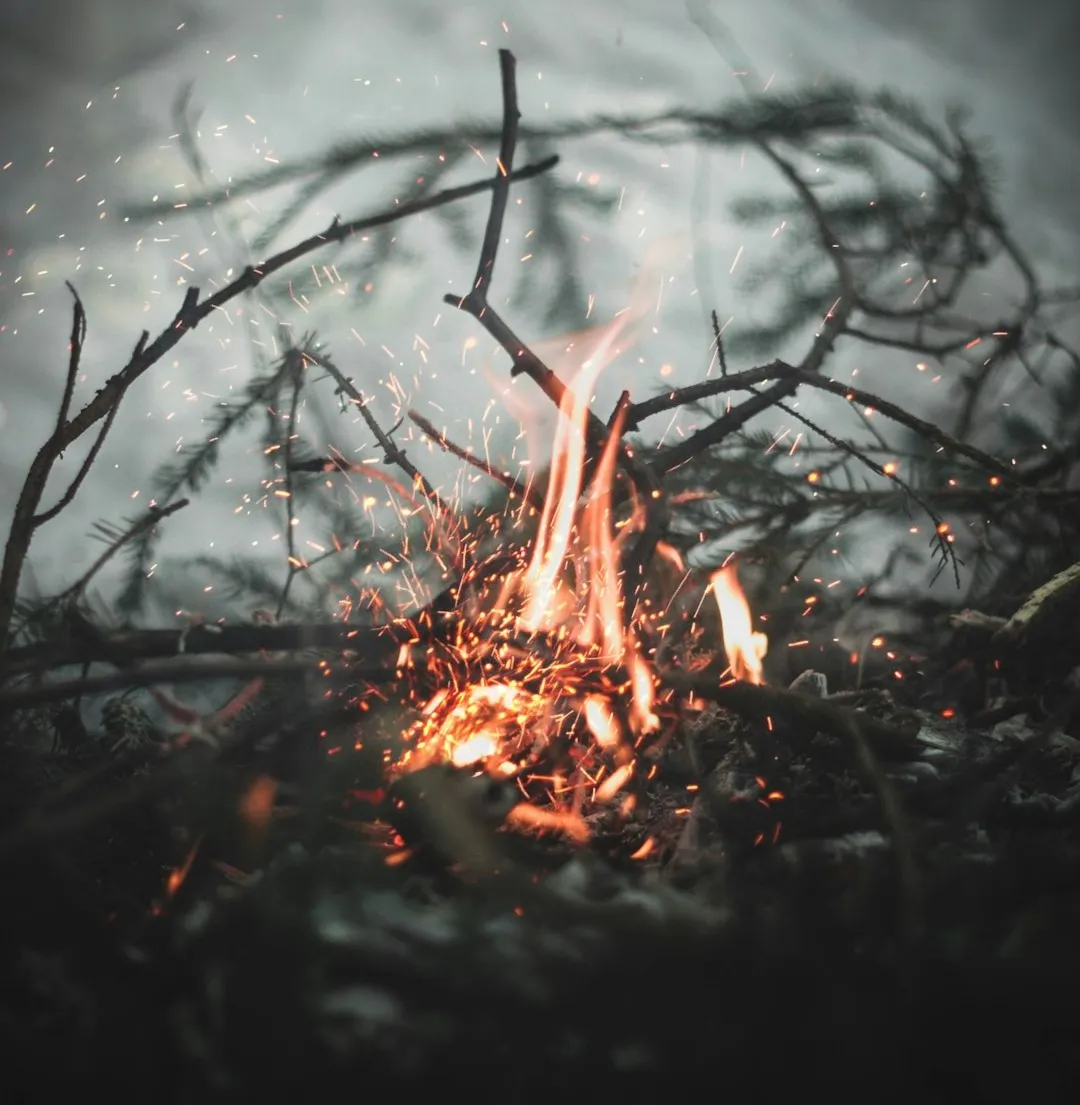 Walking Into the Fire—The First 24 Hours of Decloaking, written by Christina Rae Blackmon, first published on Substack on February 2025