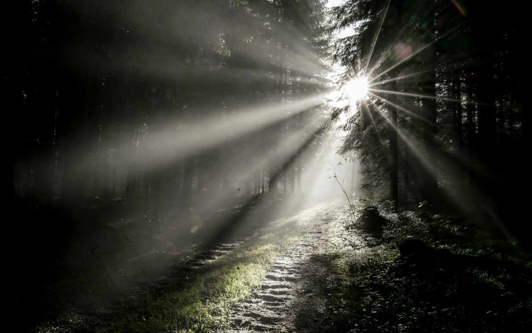 Rebuilding, Reimagining, and Revealing—In Real Time