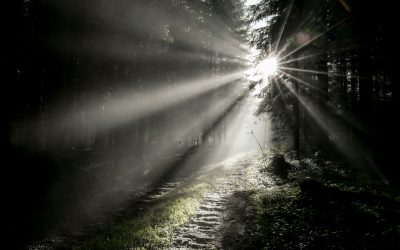 Rebuilding, Reimagining, and Revealing—In Real Time