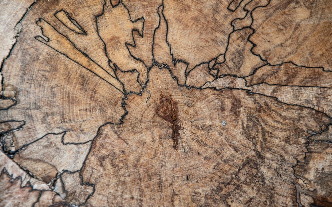 Why We Reach for What Hurts: Rewriting the Map of Safety