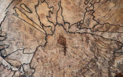 Why We Reach for What Hurts: Rewriting the Map of Safety