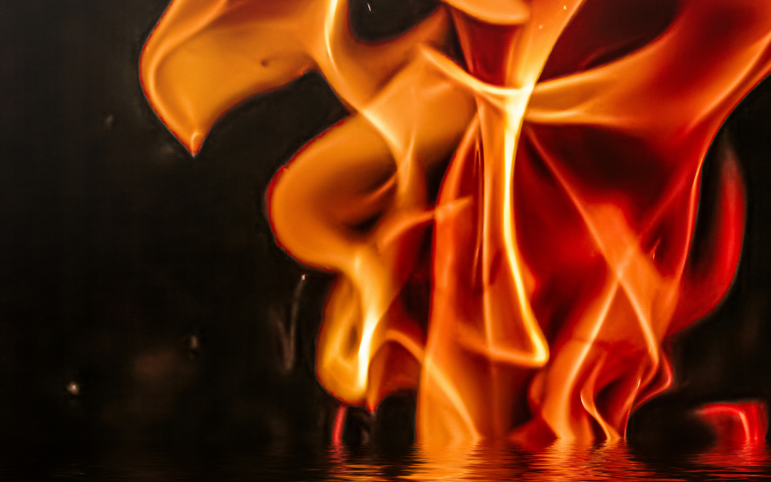 What 2025 Taught Me in the Shedding