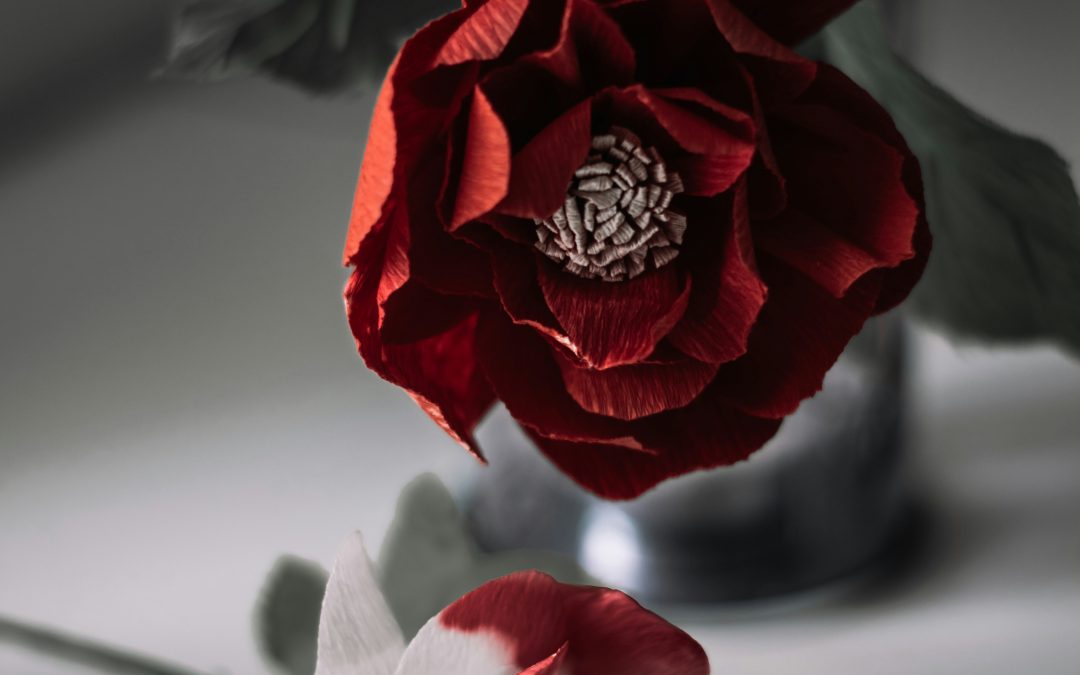 Honoring the Flow: The Bleed as Teacher