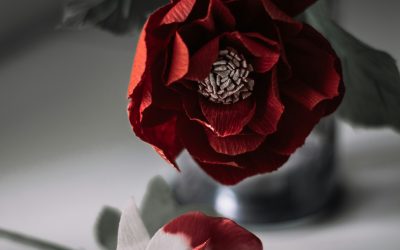 Honoring the Flow: The Bleed as Teacher