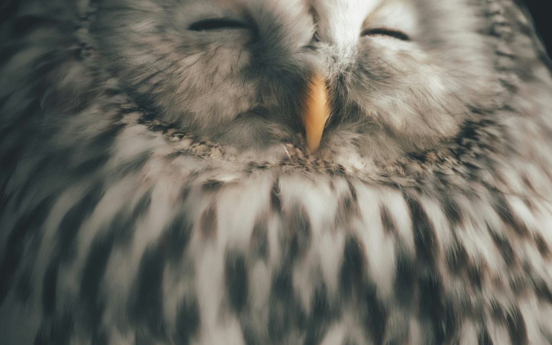 The Doorways — On Perimenopause, Broken Sleep, and What Lives in the In-Between