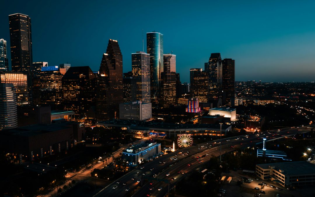 City of Houston Skyline view, Reclamation of Roots by Christina Rae Blackmon